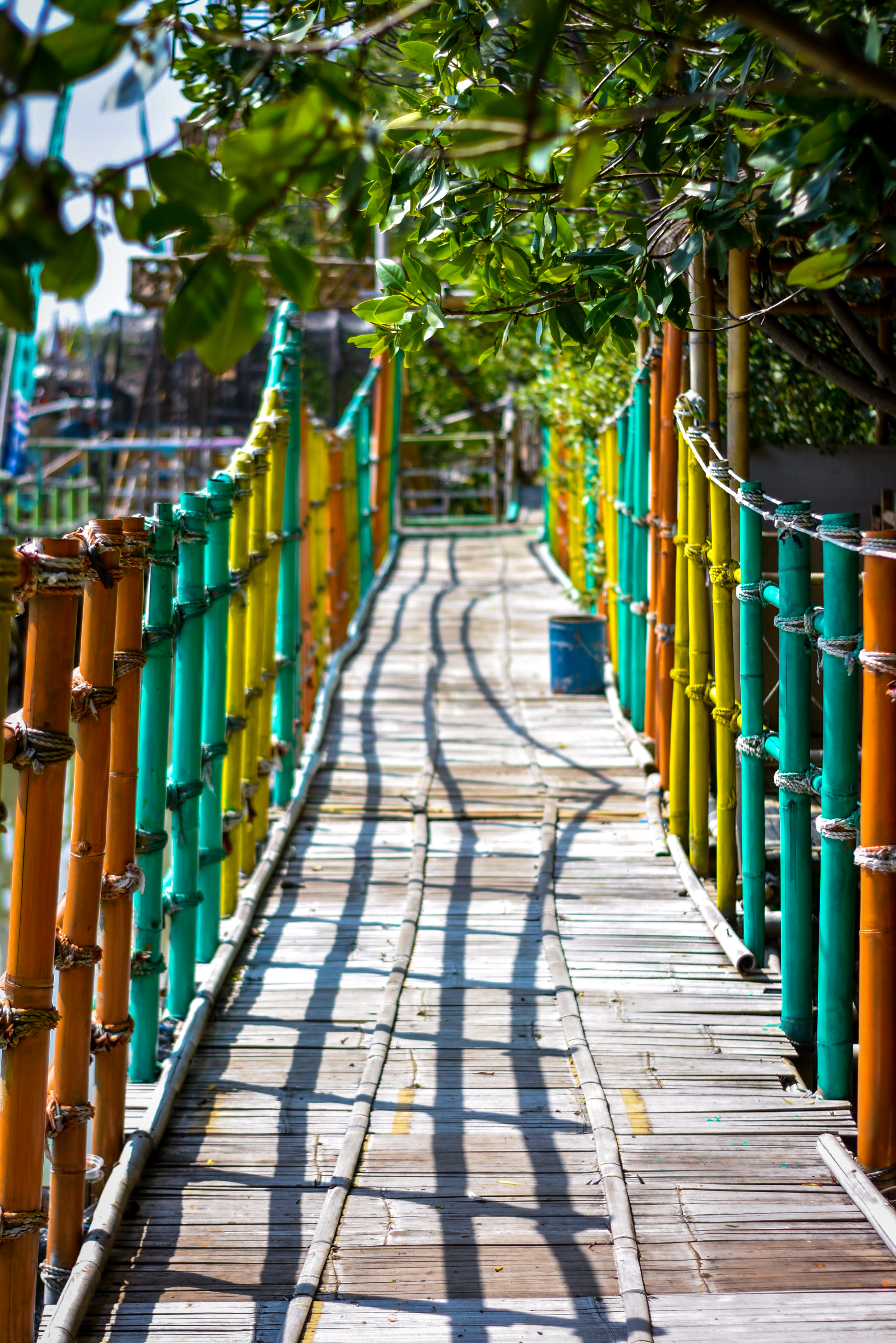 Ekowisata Hutan Mangrove Caplok Barong