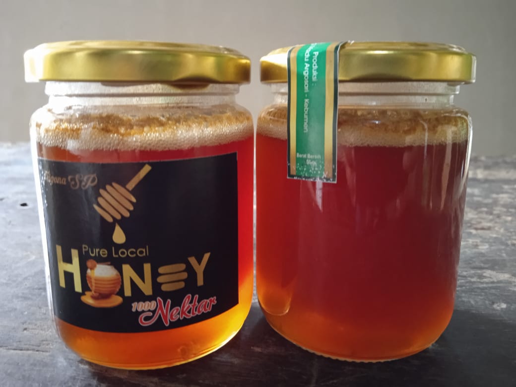 Madu Klanceng