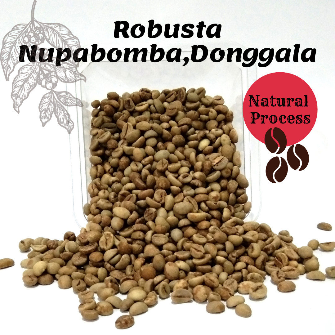 Green Bean Robusta